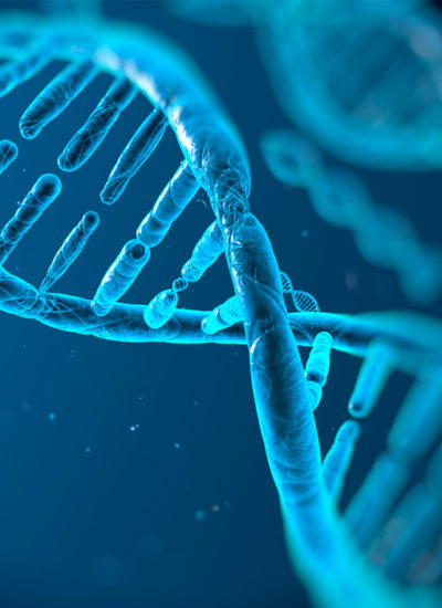 Gen-Bio_Genetique