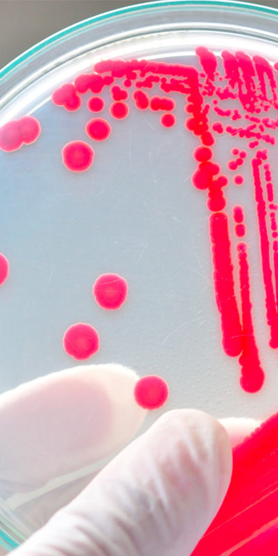 microbiologie