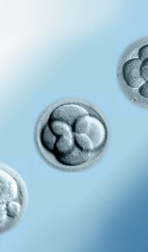 Gen-Bio_AMP